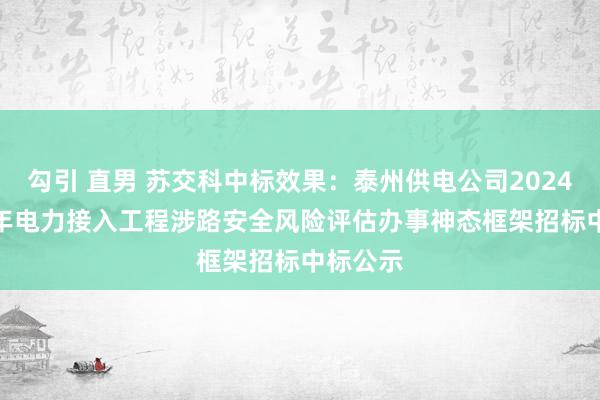 勾引 直男 苏交科中标效果：泰州供电公司2024-2026年电力接入工程涉路安全风险评估办事神态框架招标中标公示