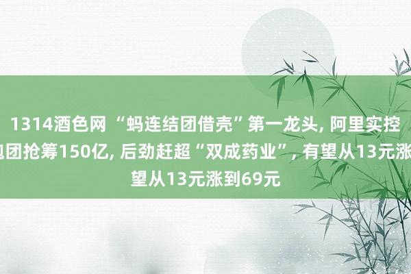 1314酒色网 “蚂连结团借壳”第一龙头， 阿里实控+机构抱团抢筹150亿， 后劲赶超“双成药业”， 有望从13元涨到69元