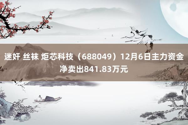 迷奸 丝袜 炬芯科技（688049）12月6日主力资金净卖出841.83万元