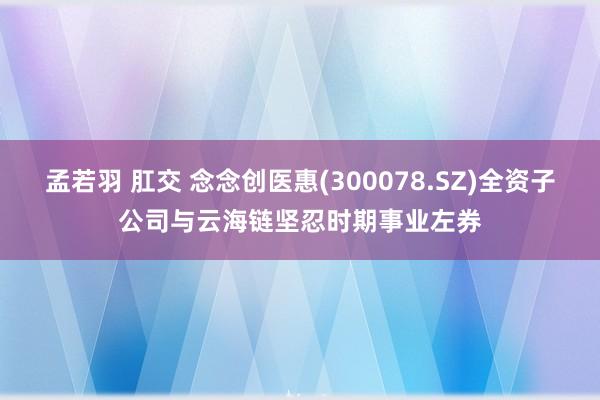 孟若羽 肛交 念念创医惠(300078.SZ)全资子公司与云海链坚忍时期事业左券