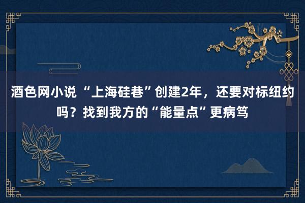 酒色网小说 “上海硅巷”创建2年，还要对标纽约吗？找到我方的“能量点”更病笃