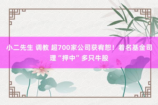 小二先生 调教 超700家公司获宥恕！着名基金司理“押中”多只牛股