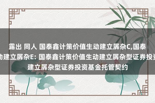 露出 同人 国泰鑫计策价值生动建立羼杂C，国泰鑫计策价值生动建立羼杂E: 国泰鑫计策价值生动建立羼杂型证券投资基金托管契约