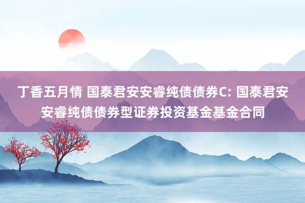 丁香五月情 国泰君安安睿纯债债券C: 国泰君安安睿纯债债券型证券投资基金基金合同