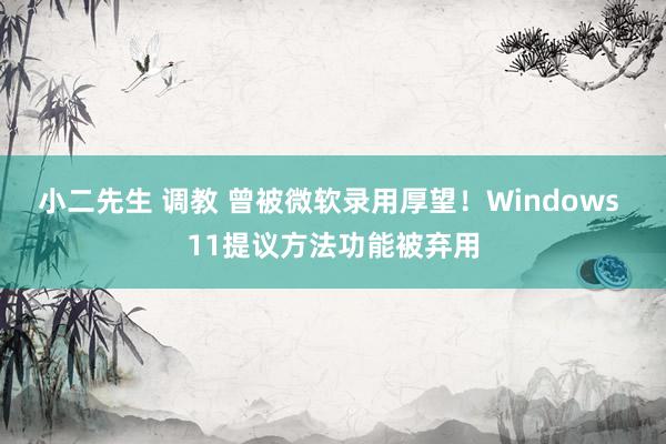 小二先生 调教 曾被微软录用厚望！Windows 11提议方法功能被弃用