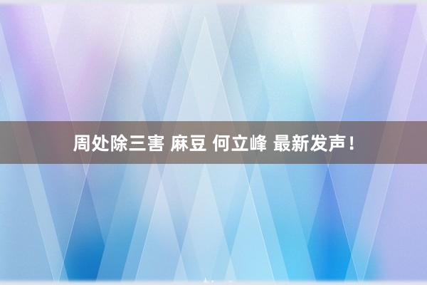 周处除三害 麻豆 何立峰 最新发声！