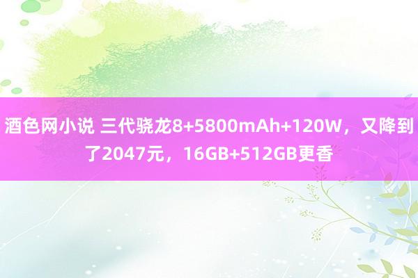 酒色网小说 三代骁龙8+5800mAh+120W，又降到了2047元，16GB+512GB更香