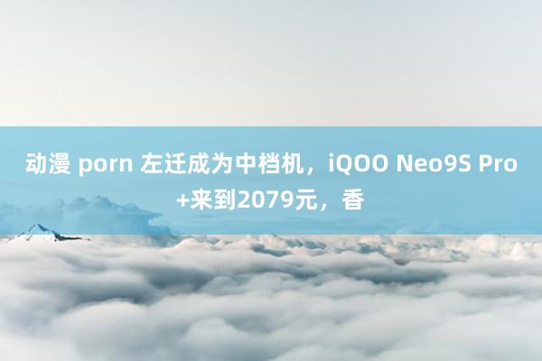 动漫 porn 左迁成为中档机，iQOO Neo9S Pro+来到2079元，香