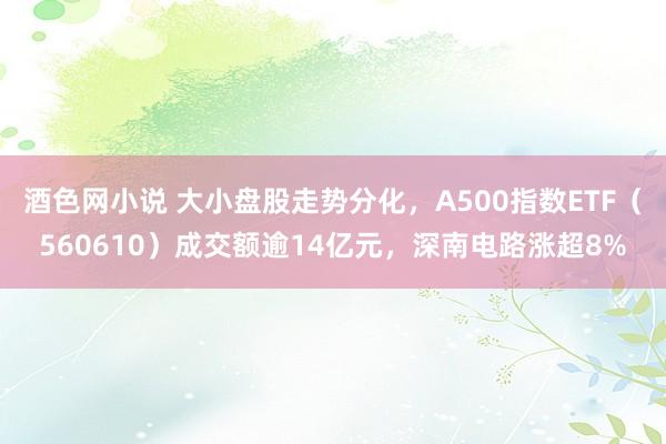 酒色网小说 大小盘股走势分化，A500指数ETF（560610）成交额逾14亿元，深南电路涨超8%