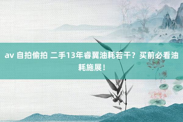 av 自拍偷拍 二手13年睿翼油耗若干？买前必看油耗施展！