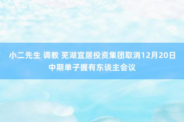 小二先生 调教 芜湖宜居投资集团取消12月20日中期单子握有东谈主会议