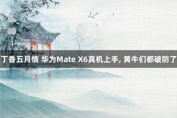 丁香五月情 华为Mate X6真机上手， 黄牛们都破防了