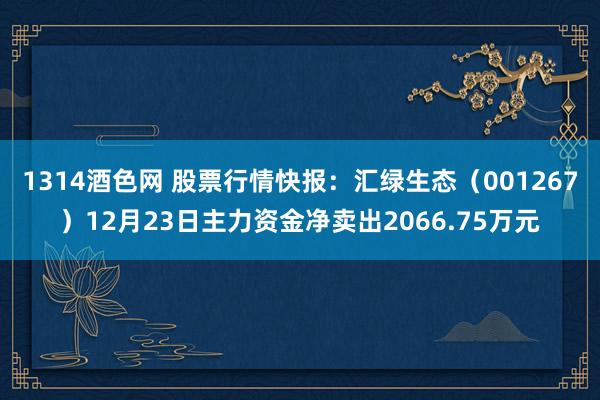 1314酒色网 股票行情快报：汇绿生态（001267）12月23日主力资金净卖出2066.75万元