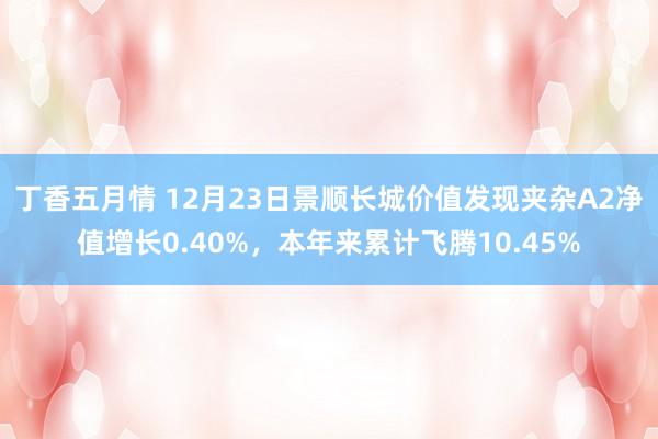 丁香五月情 12月23日景顺长城价值发现夹杂A2净值增长0.40%，本年来累计飞腾10.45%