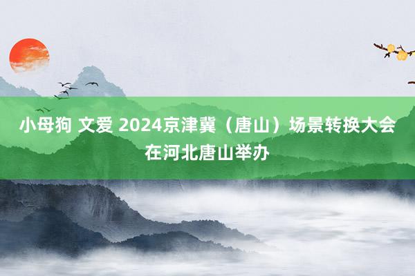 小母狗 文爱 2024京津冀（唐山）场景转换大会在河北唐山举办