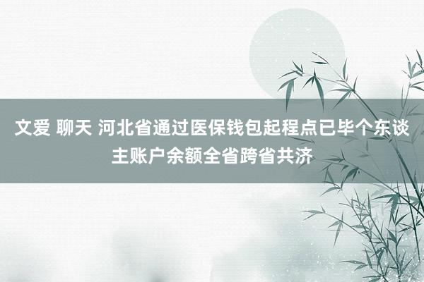 文爱 聊天 河北省通过医保钱包起程点已毕个东谈主账户余额全省跨省共济