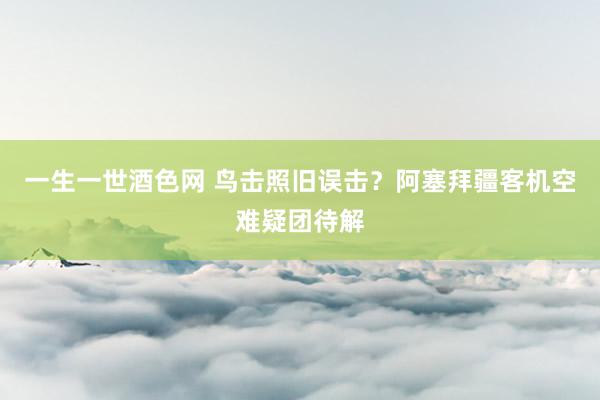 一生一世酒色网 鸟击照旧误击？阿塞拜疆客机空难疑团待解