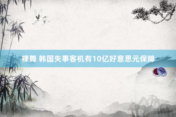 裸舞 韩国失事客机有10亿好意思元保障