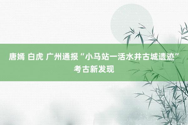 唐嫣 白虎 广州通报“小马站一活水井古城遗迹”考古新发现