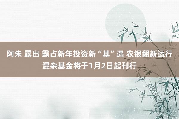 阿朱 露出 霸占新年投资新“基”遇 农银翻新运行混杂基金将于1月2日起刊行