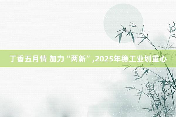 丁香五月情 加力“两新”，2025年稳工业划重心