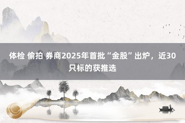 体检 偷拍 券商2025年首批“金股”出炉，近30只标的获推选