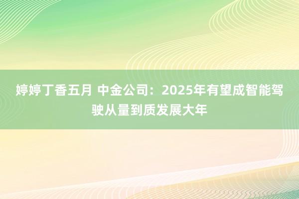 婷婷丁香五月 中金公司：2025年有望成智能驾驶从量到质发展大年