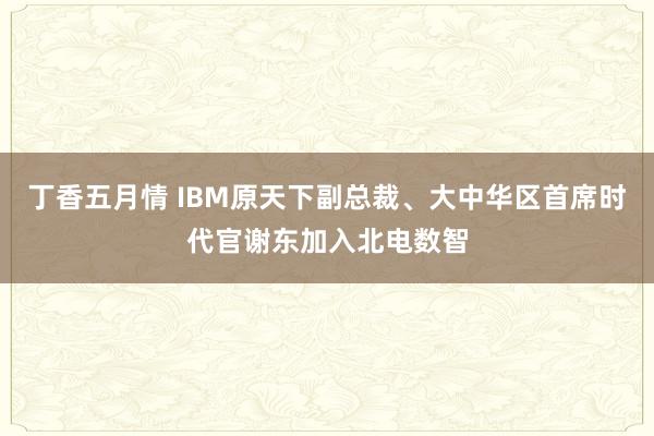 丁香五月情 IBM原天下副总裁、大中华区首席时代官谢东加入北电数智