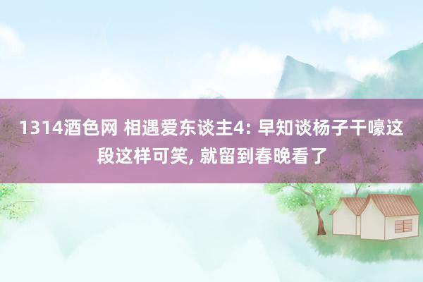 1314酒色网 相遇爱东谈主4: 早知谈杨子干嚎这段这样可笑， 就留到春晚看了