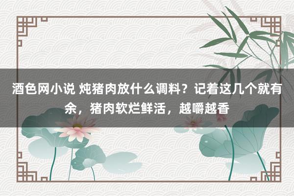 酒色网小说 炖猪肉放什么调料？记着这几个就有余，猪肉软烂鲜活，越嚼越香