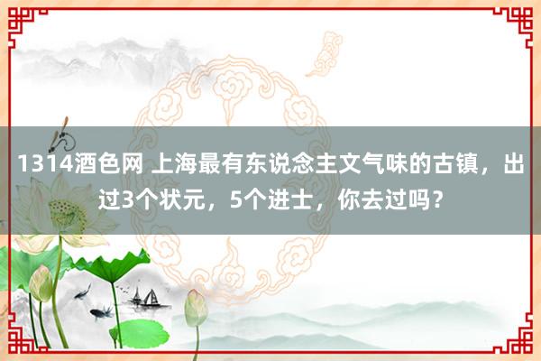 1314酒色网 上海最有东说念主文气味的古镇，出过3个状元，5个进士，你去过吗？