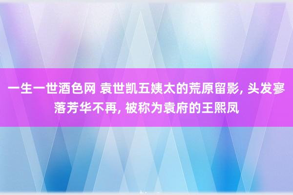 一生一世酒色网 袁世凯五姨太的荒原留影， 头发寥落芳华不再， 被称为袁府的王熙凤