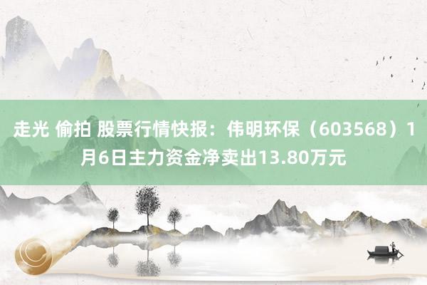 走光 偷拍 股票行情快报：伟明环保（603568）1月6日主力资金净卖出13.80万元