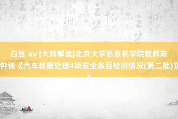 白丝 av [大师解读]北京大学蓄意机学院教师陈钟谈《汽车数据处理4项安全条目检测情况(第二批)》