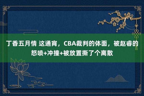 丁香五月情 这通宵，CBA裁判的体面，被赵睿的怒喷+冲撞+被放置撕了个离散