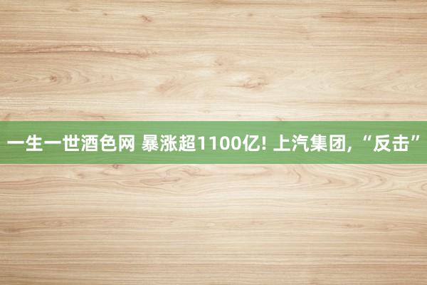 一生一世酒色网 暴涨超1100亿! 上汽集团， “反击”