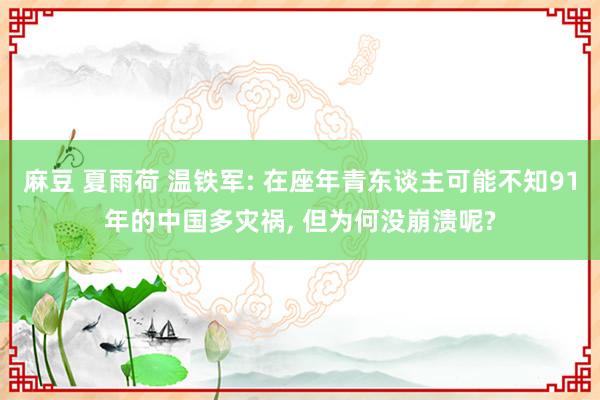 麻豆 夏雨荷 温铁军: 在座年青东谈主可能不知91年的中国多灾祸， 但为何没崩溃呢?