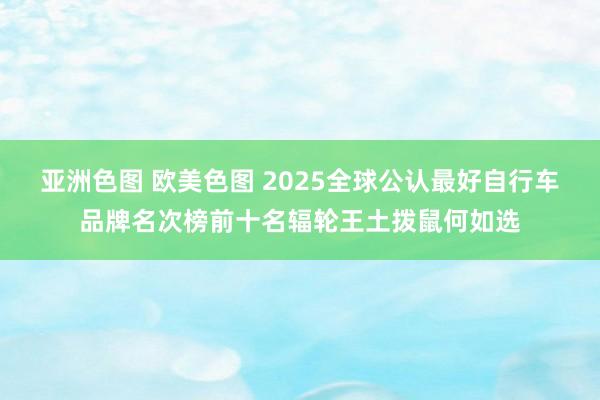 亚洲色图 欧美色图 2025全球公认最好自行车品牌名次榜前十名辐轮王土拨鼠何如选