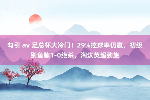 勾引 av 足总杯大冷门！29%控球率仍赢，初级别鱼腩1-0绝杀，淘汰英超劲旅