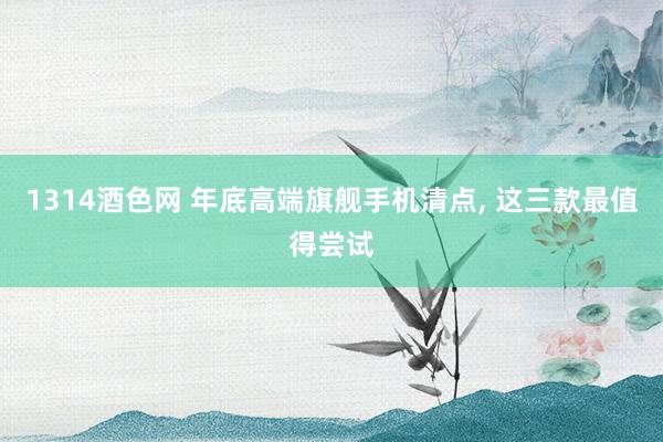 1314酒色网 年底高端旗舰手机清点， 这三款最值得尝试