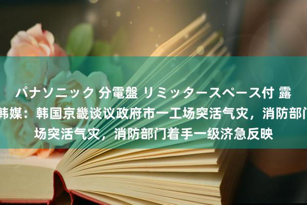 パナソニック 分電盤 リミッタースペース付 露出・半埋込両用形 韩媒：韩国京畿谈议政府市一工场突活气灾，消防部门着手一级济急反映