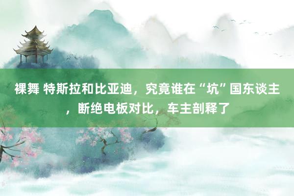 裸舞 特斯拉和比亚迪，究竟谁在“坑”国东谈主，断绝电板对比，车主剖释了