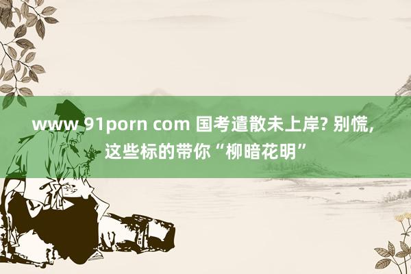 www 91porn com 国考遣散未上岸? 别慌， 这些标的带你“柳暗花明”