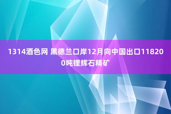 1314酒色网 黑德兰口岸12月向中国出口118200吨锂辉石精矿